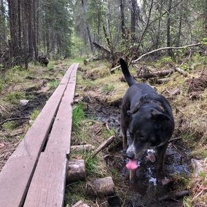 Meet your Posher, Rebekah